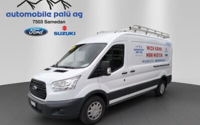 Ford Transit 4×4 – Sachtransporter
